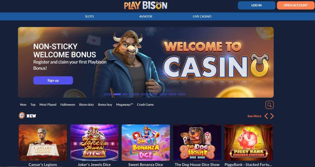 playbison casino